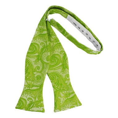 Clover Tapestry Paisley Self  Bow Tie