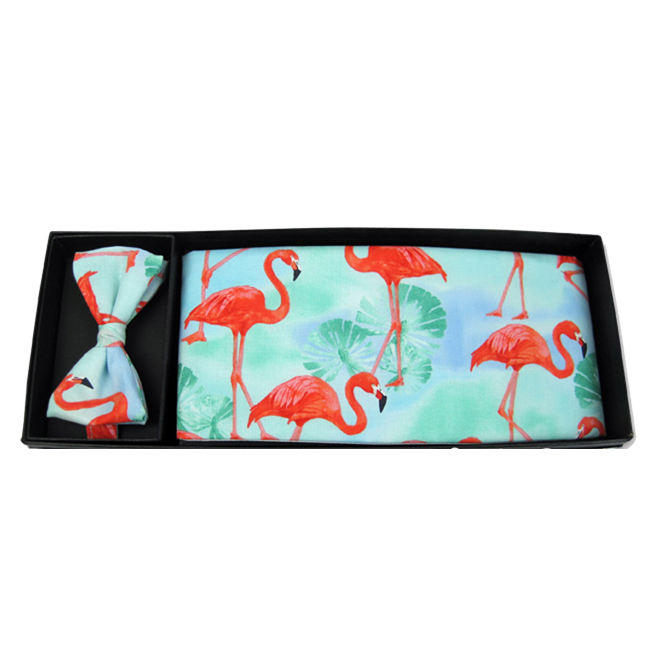 Flamingo Paradise Bow Tie and Cummerbund Set