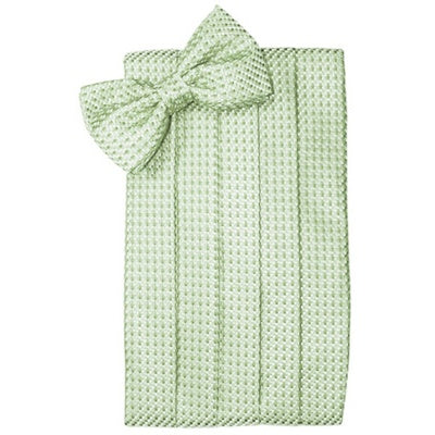 Mint Green Venetian Cummerbund and Bow Tie Set