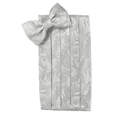 Platinum Paisley Silk Cummerbund and Bow Tie Set